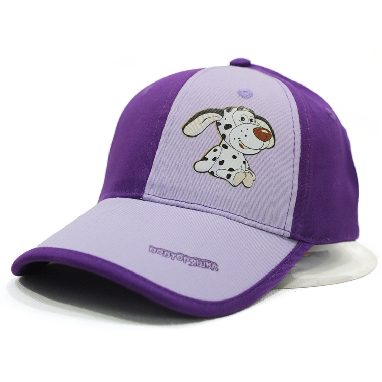 Cotton Embroidery Fashion Baseball Hat
